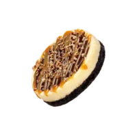 Turtle Cheesecake