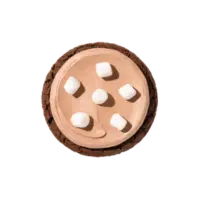 Frozen Hot Chocolate